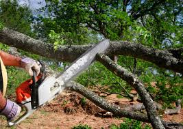 Best Lawn Grading and Leveling  in Sterling, AK